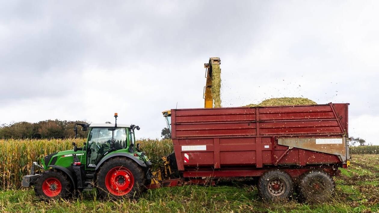 Parc naturel d’Armorique : un appel lancé aux agriculteurs envisageant de céder leur exploitation