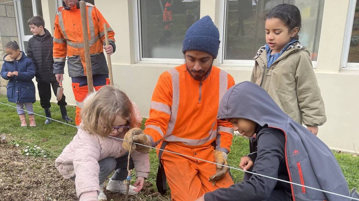 Des vignes plantées en plein centre-ville à Brest