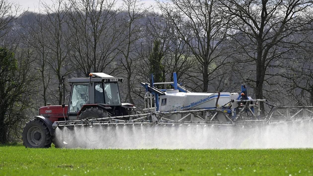 Agriculture. « Faut-il négliger la santé des individus dans le seul but de faire de l’argent ? »