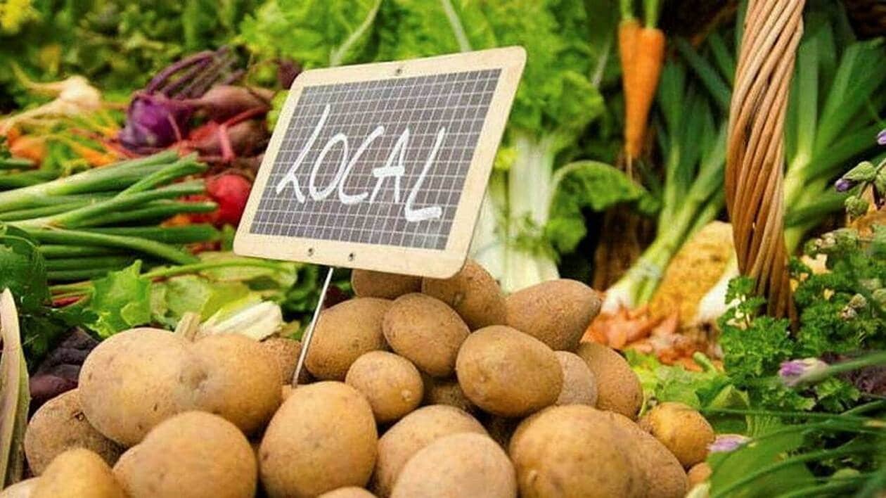 Une journée pour soutenir l’agriculture paysanne dans le vignoble de Nantes