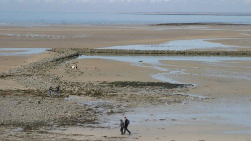 TÉMOIGNAGE. En Normandie, ils ont trouvé des os humains dans une botte : ils racontent