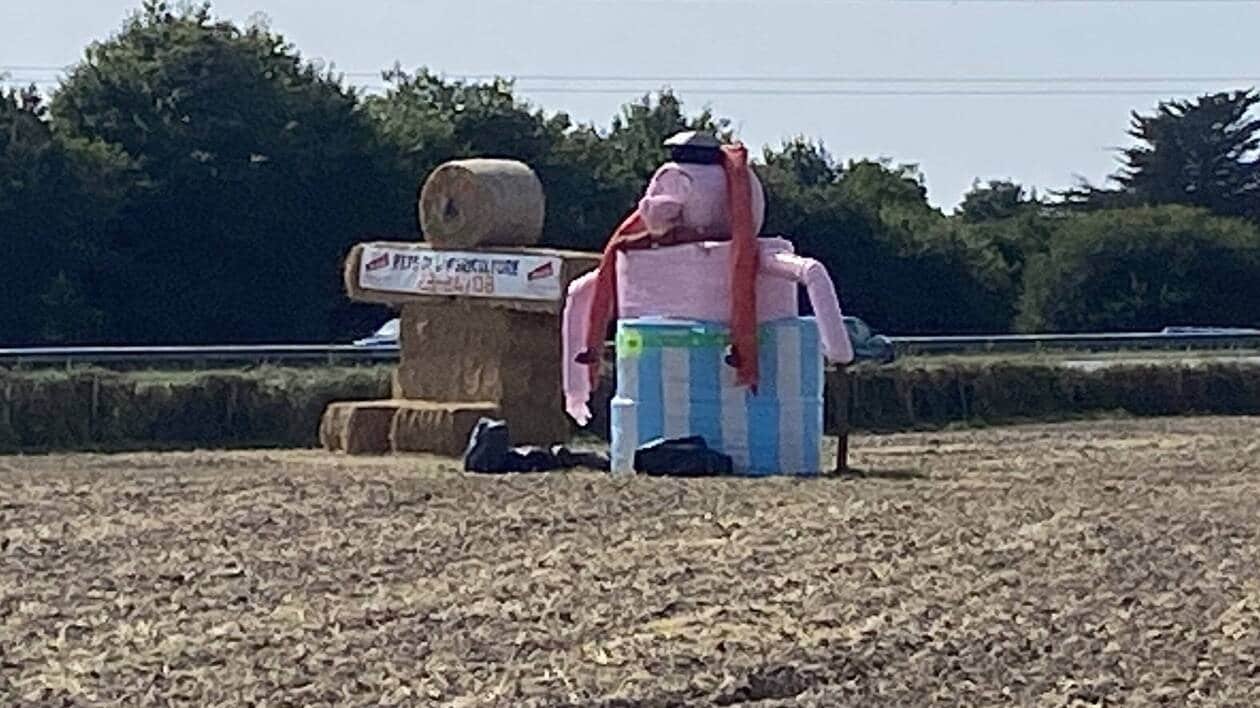 Guérande. À Guérande, la plus grande fête agricole du département