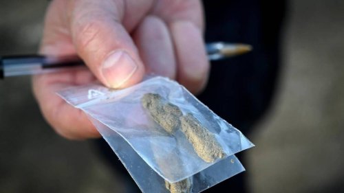 À Vannes, le dealer avait oublié 160 g de cannabis dans son Airbnb