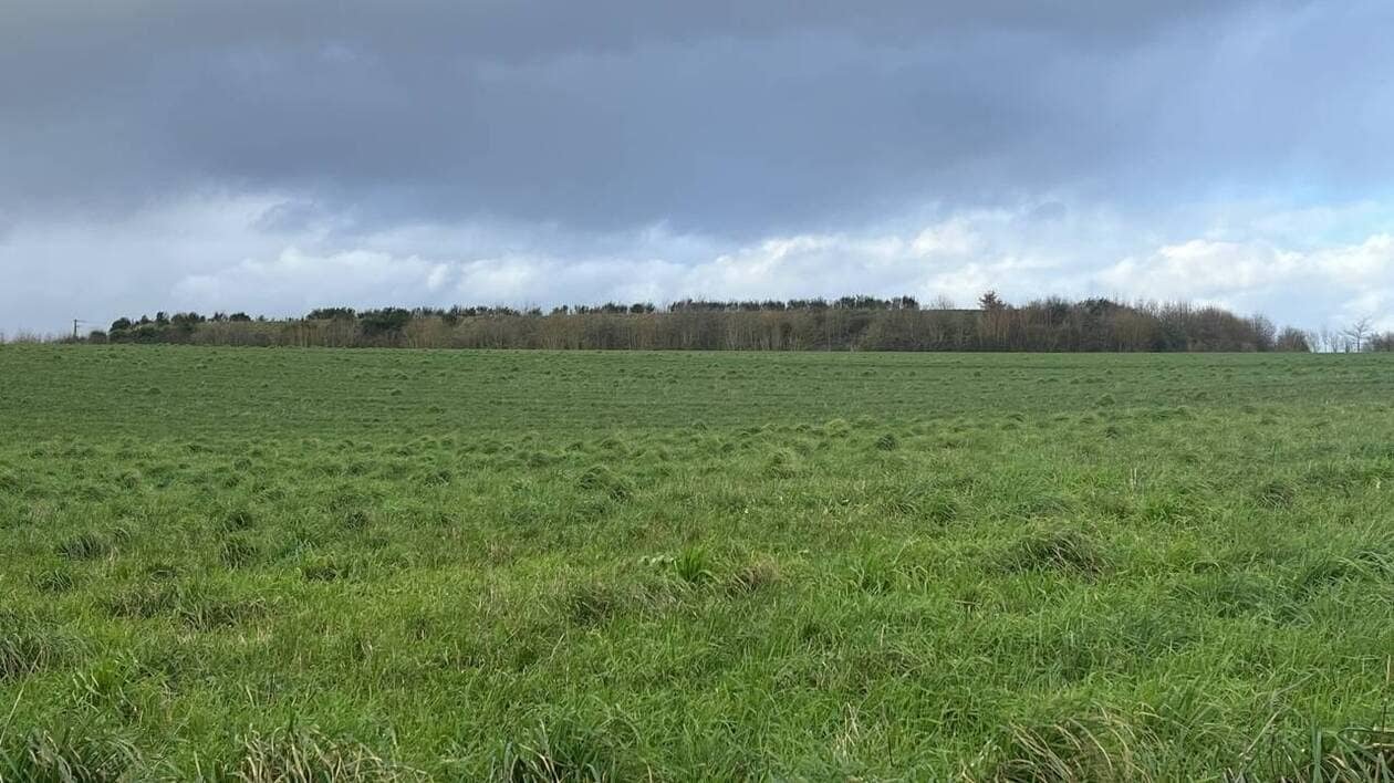« Pas d’intervention d’un tiers » : retrouvée morte, elle tentait de sauver son chien d’une bassine