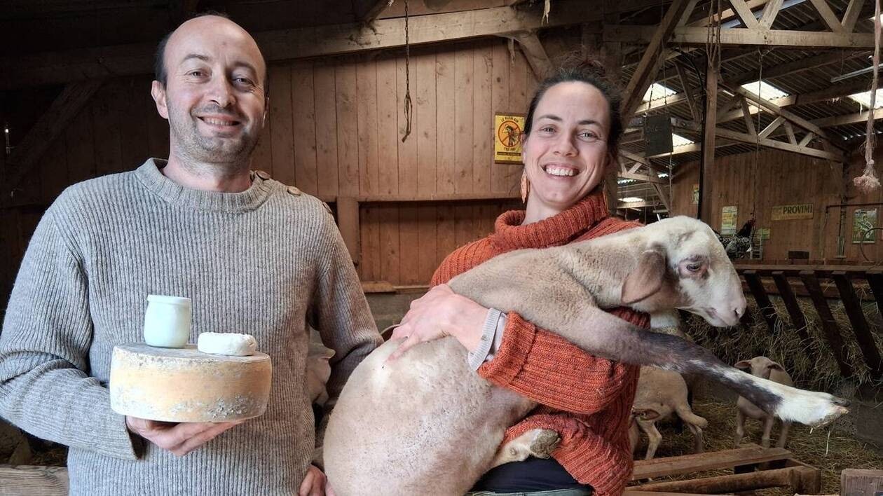 Aux brebis de la crette, près de Falaise, ils produisent tommes, fromageons et yaourts