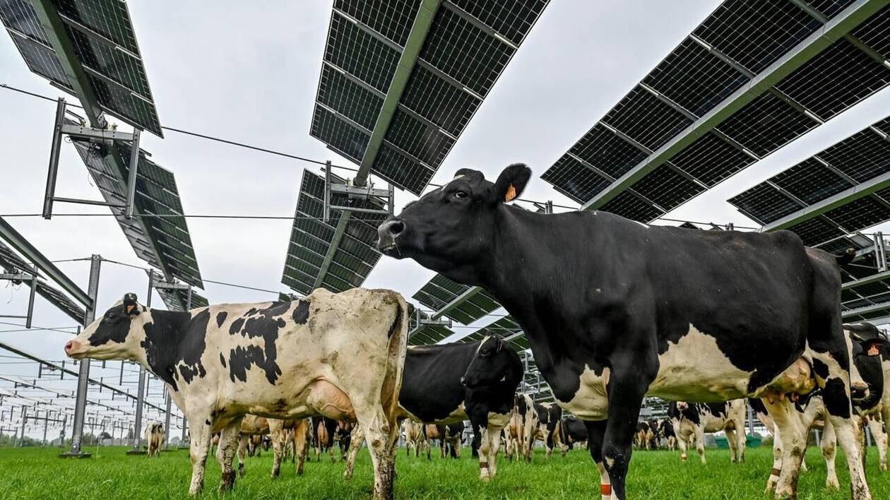 Les panneaux solaires dans les champs, nouveau risque de tension entre monde agricole et habitants