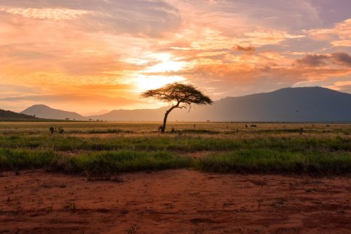 Où est-il encore possible de voyager en Afrique ?