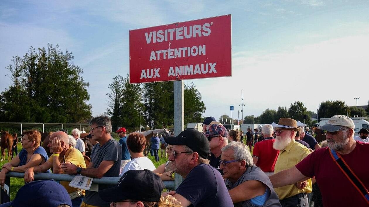 À Lessay, la foire s’apprête à débuter dans un contexte sanitaire et politique particulier