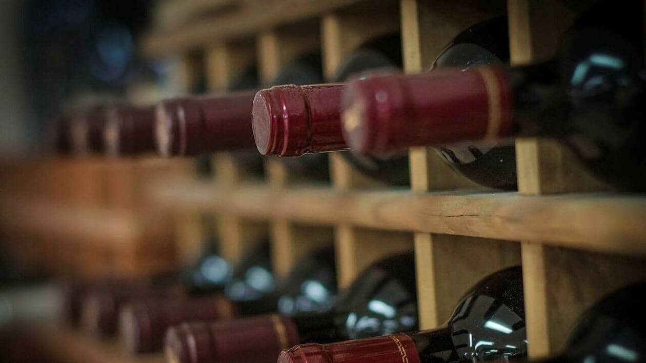 « Vivez un moment unique » : ces vignerons ouvrent leurs portes ce dimanche en Maine-et-Loire