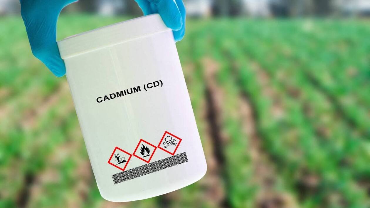 Les médecins alertent sur l’exposition des enfants au cadmium, un métal lourd reconnu cancérigène