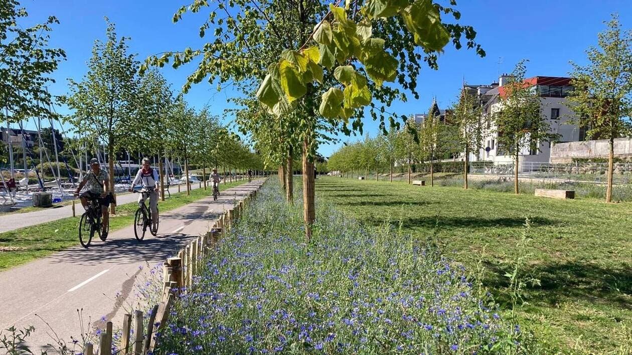 Éclairage led, bio à la cantine, parcs urbains… quel bilan du maire de Vannes pour l’environnement ?