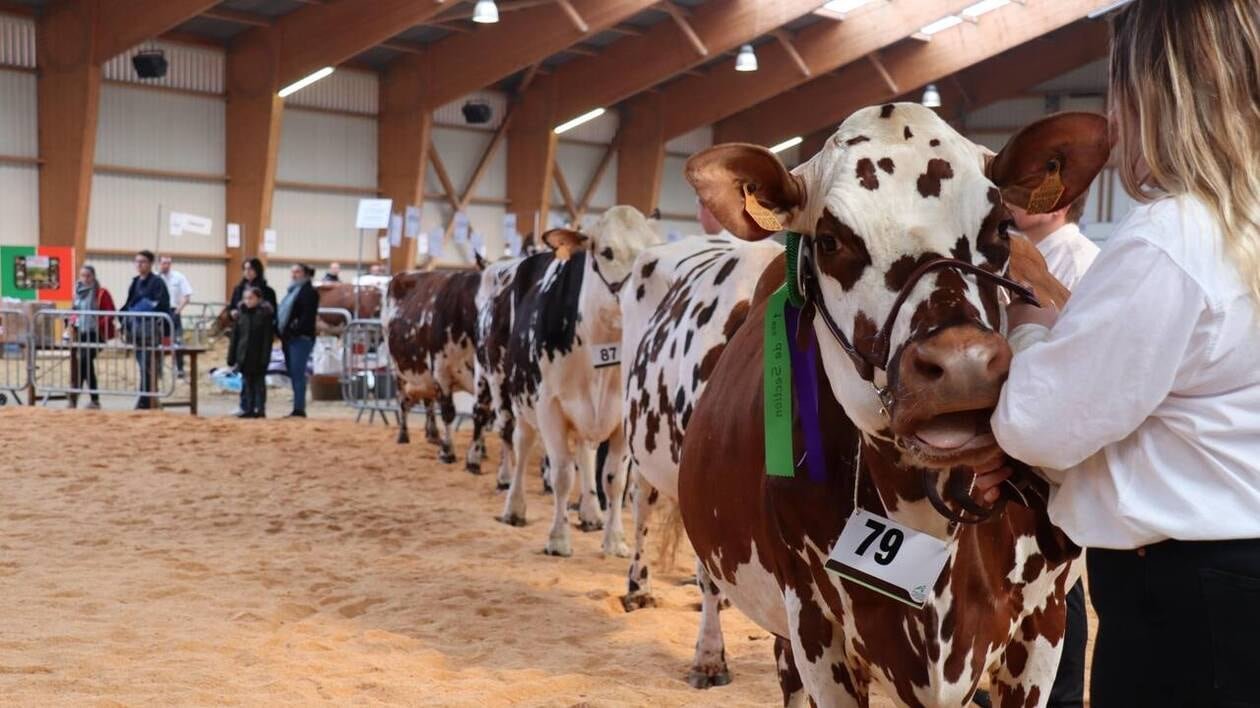 « Montrer notre agriculture » : Les 15 et 16 mars, la pédagogie à l’honneur des Agri Deiz à Quimper