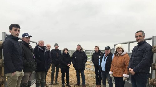 Vendée. Deux nouveaux parcs de contention pour les éleveurs du marais au Langon