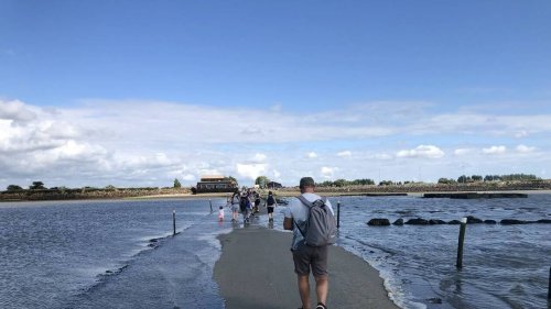 Vendée. Piégé par la marée montante sur le Gois, un couple de promeneurs sauvé par les secours