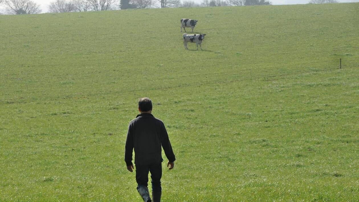 Suicide : toujours un « sur-risque » agricole