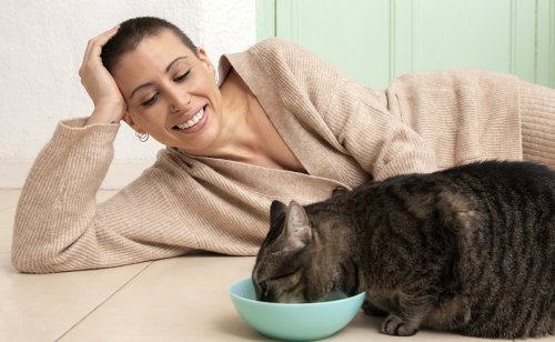 Donner du kéfir à son chat : quels bienfaits pour sa santé ?