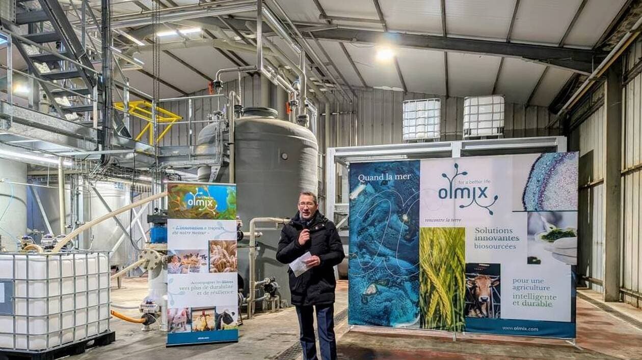 À Bréhan, la société Olmix investit dix millions pour se positionner sur le marché mondial des biostimulants