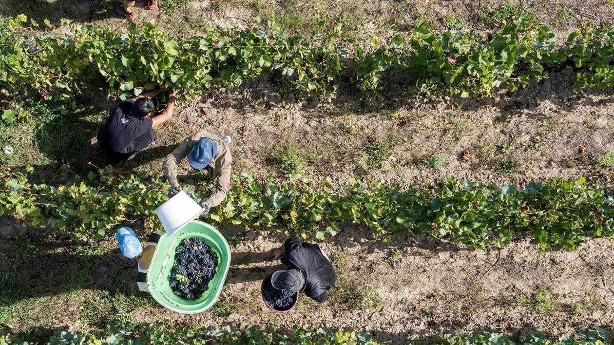 Haute valeur environnementale : l’intérêt baisse, vers une diminution des agriculteurs certifiés