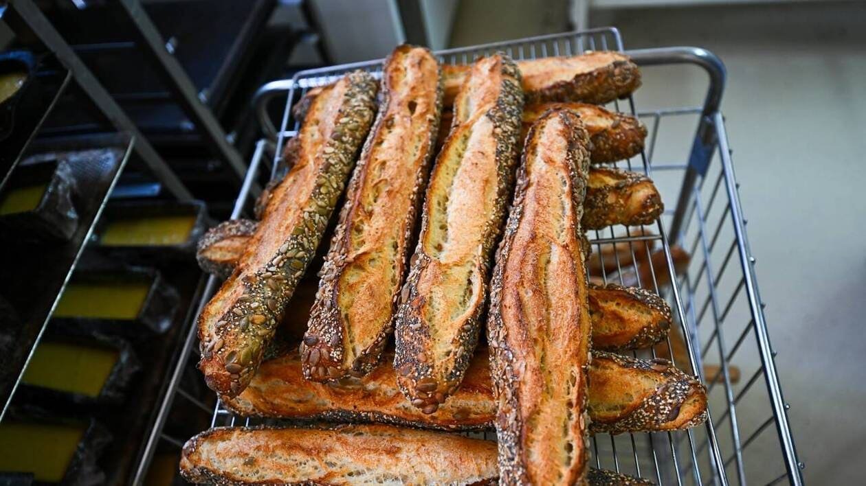 Levain, sarrasin, seigle… Quel pain choisir pour limiter le cadmium dans notre assiette ?