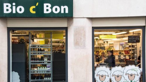 « De l’argent qu’on espérait pour notre retraite » : des Bretons victimes de placements frauduleux