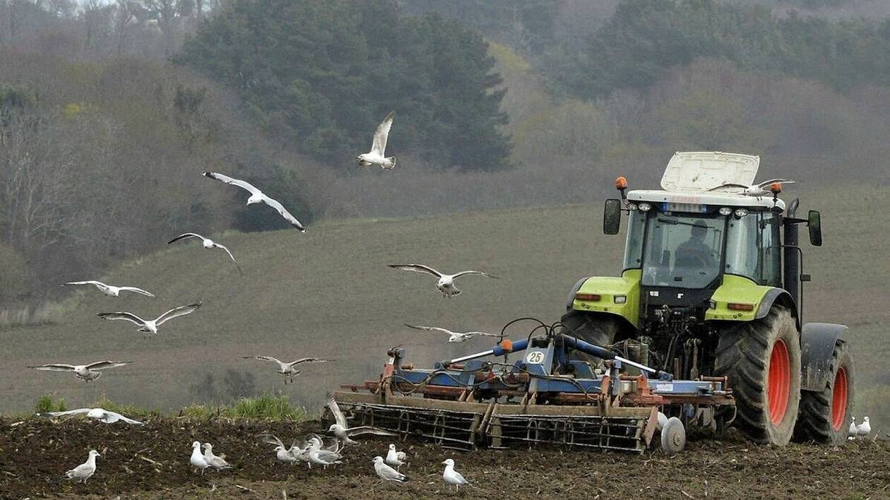 A Commes, un café installation pour des porteurs de projets dans le milieu agricole