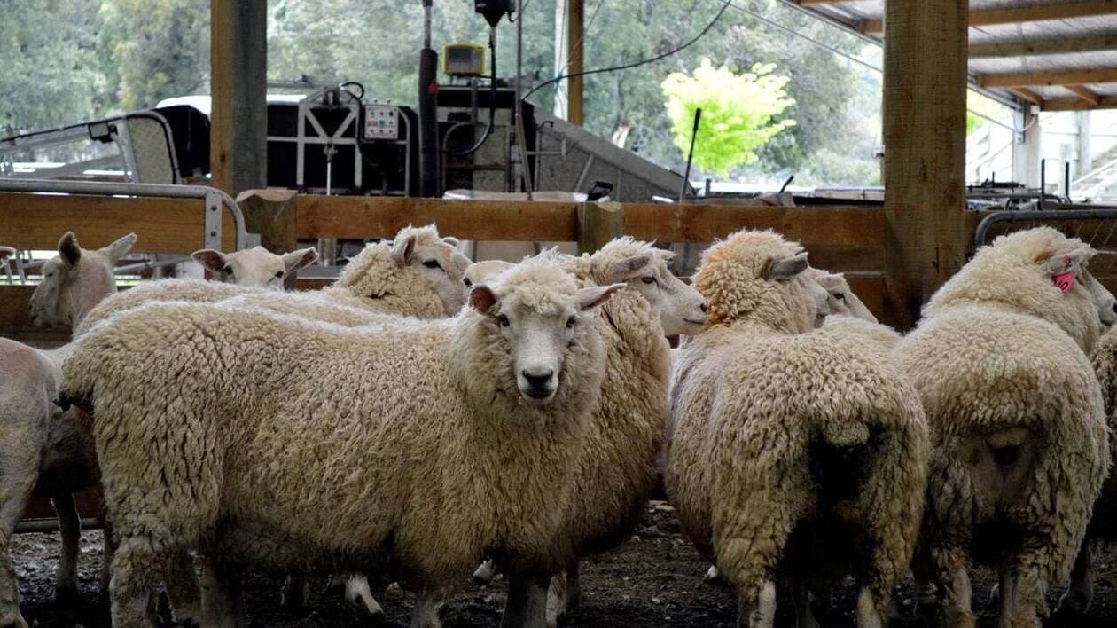 CARTE. Au-delà du Mercosur, ces autres accords de libre-échange que l’Union européenne a signés ou qu’elle pré