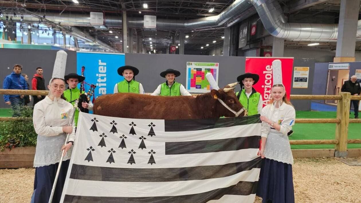 Ces lycéens du Morbihan et leur vache Roxane remportent un prix au Salon de l’agriculture