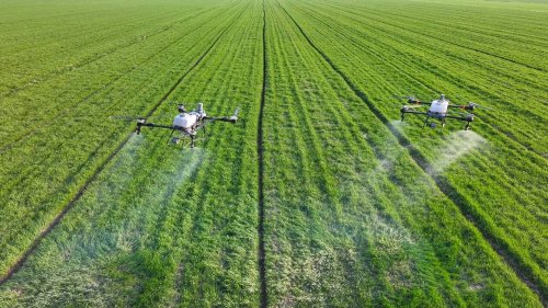 Jusqu’ici interdite, la pulvérisation par drone de pesticides désormais légale mais « encadrée »