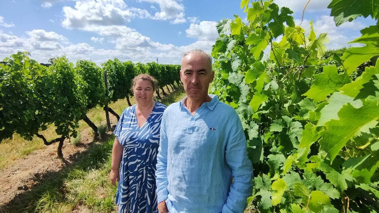 Des milliers de postes à pourvoir : les agriculteurs de la région galèrent à trouver des saisonniers