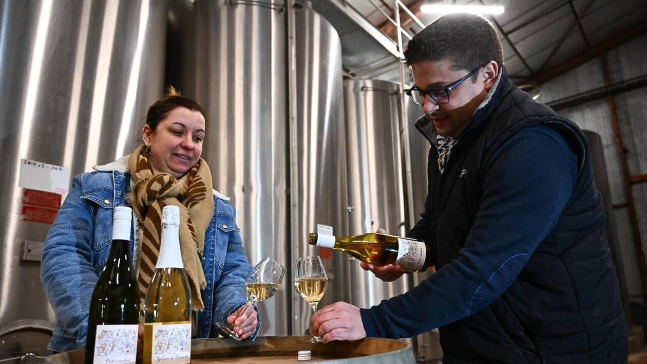 Vont-ils concurrencer les grands crus ? La croissance folle des vins sans alcool
