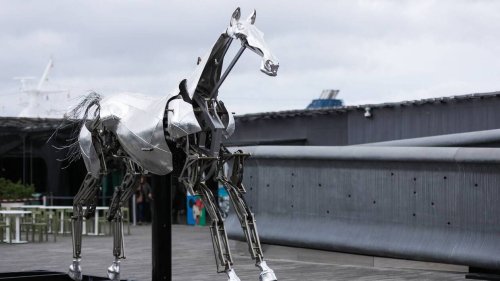 Le CNOSF dévoile les festivités pour le premier anniversaire des Jeux de Paris 2024