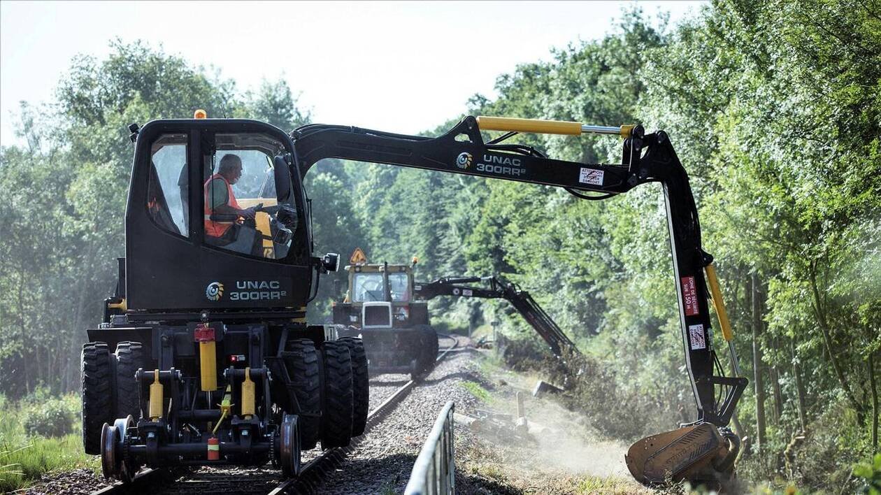Arbres qui tombent et ralentissent les trains : la Région Normandie s’attaque aux propriétaires