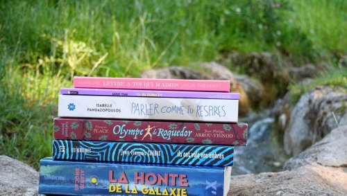 Livres. Des idées de romans pour les vacances des adolescents