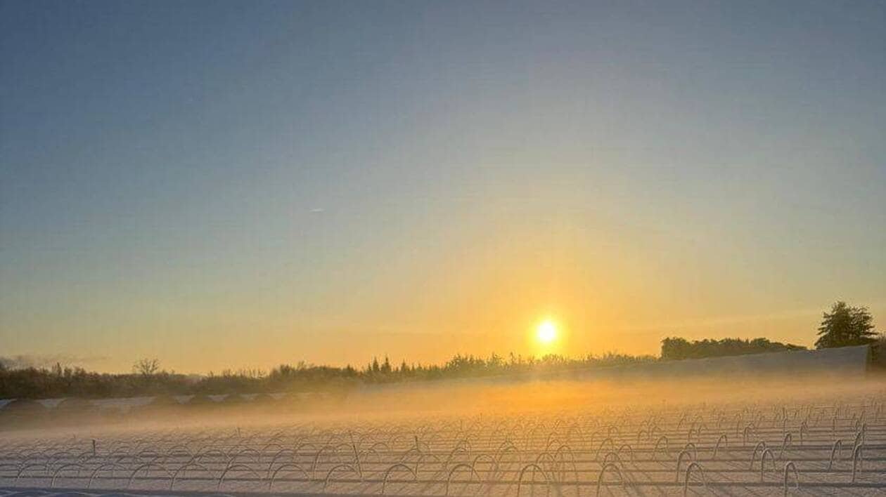 Les petits tunnels de culture ont plié sous la neige près de Nantes