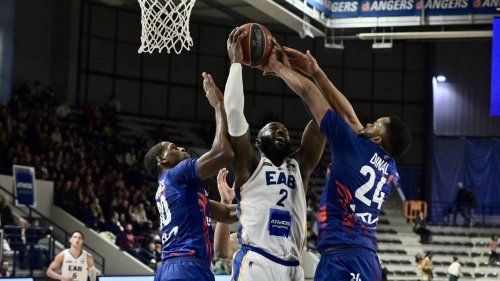 Basket. Avant la Leaders Cup, Angers veut retrouver sa bonne adresse contre Boulazac