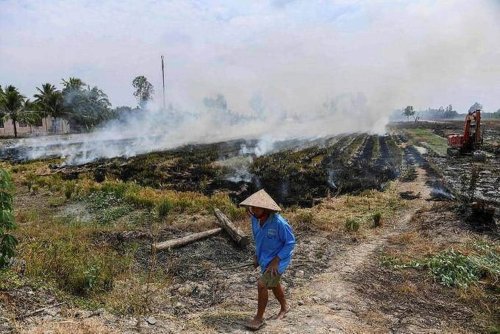 Au Vietnam, des pistes pour réduire l’impact du riz sur le réchauffement climatique - Edition du soir Ouest-France - 30/03/2023