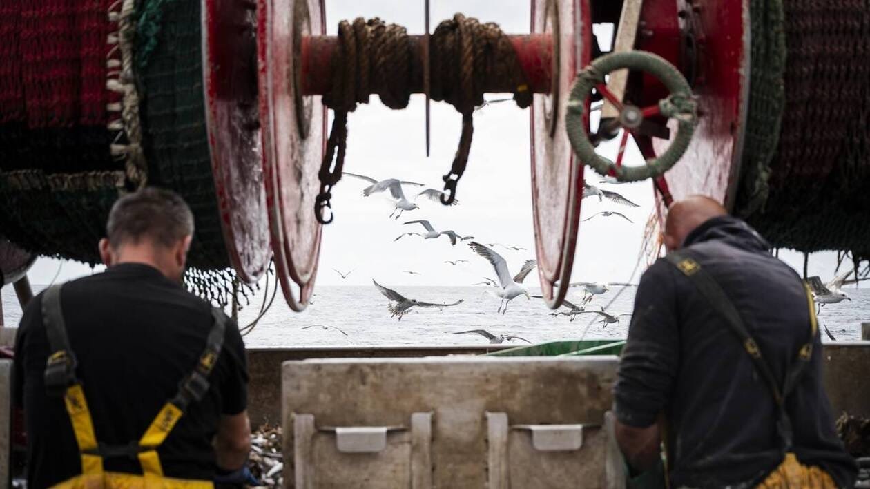 « L’interdiction du chalut de fond par défaut » rejetée par un lobby européen de la pêche