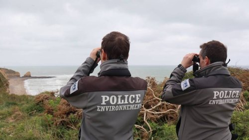 « Détruire une espèce protégée, c’est 3 ans de prison » : on a suivi la police de l’environnement