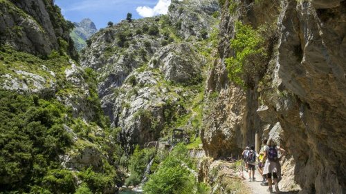Il jette une pierre dans un parc naturel et risque… jusqu’à 200 000 € d’amende
