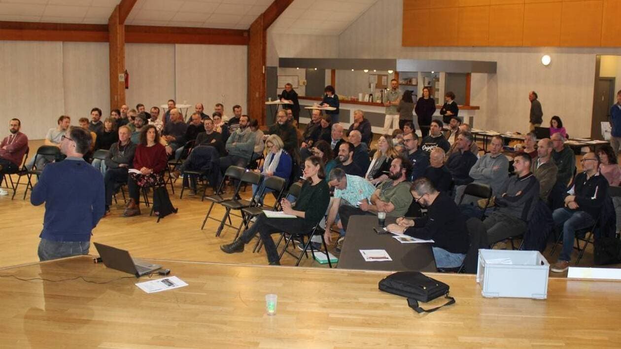 « Peu de vaches à paître dans les prés » : en Côtes-d’Armor, le Cedapa encourage les éleveurs à développer le