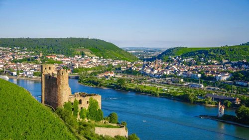 En croisière sur le Rhin romantique, entre vigneset châteaux