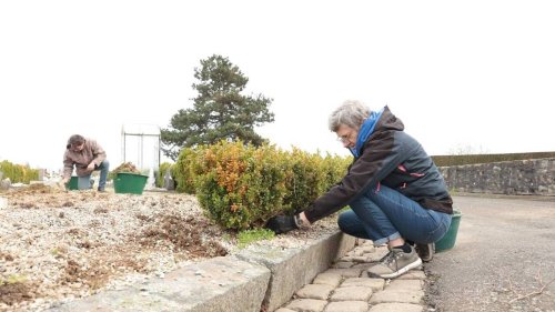« Le but, c’est de le rendre plus propre » : élus et habitants ont désherbé le cimetière de Mayenne