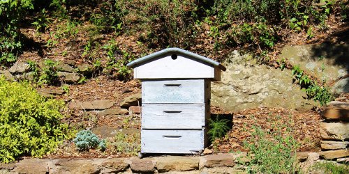 Comment installer une ruche dans son jardin : 12 conseils à suivre !