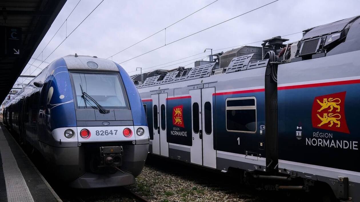 Chute d’arbre sur la voie. La circulation des trains perturbée entre Rouen et Dieppe, ce mercredi