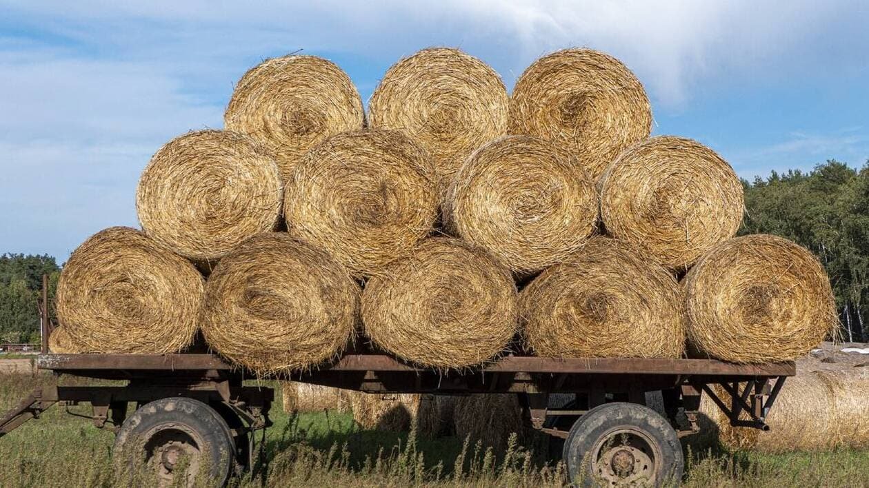Un agriculteur porte plainte après s’être fait voler une quarantaine de ballots de foin