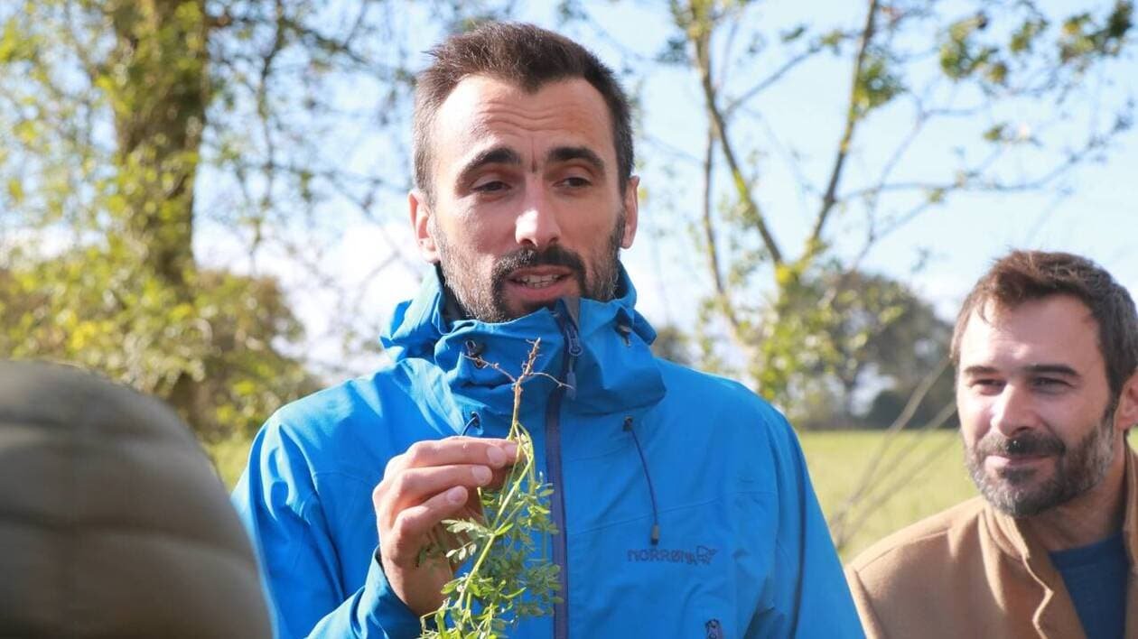 « Je voulais nourrir les gens » : cet ex-chercheur cultive légumineuses et céréales bio en Anjou