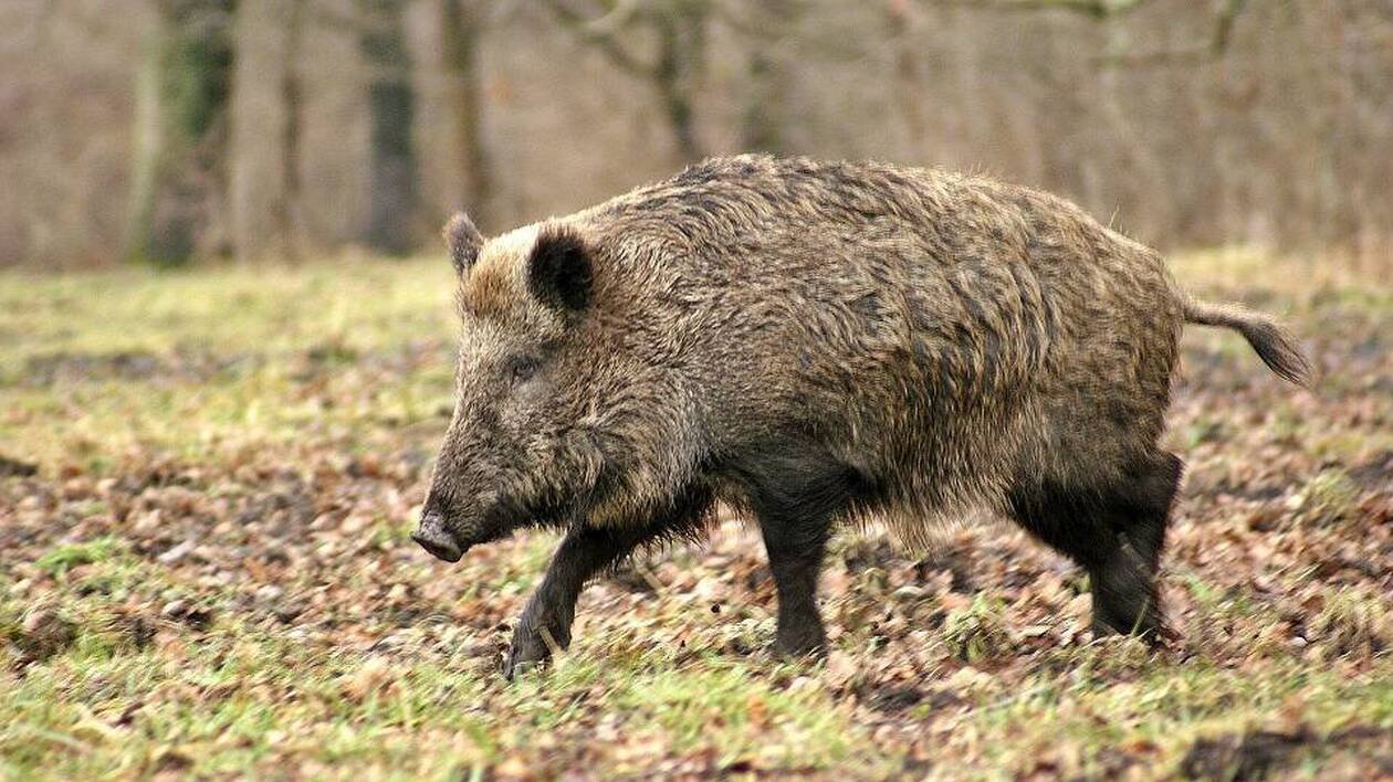 « On peut crever, tout le monde s’en fout » : le coup de gueule d’un agriculteur d’Oléron après le passage de