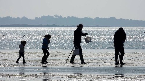 Grandes marées ce week-end en Normandie : trois activités pour en profiter
