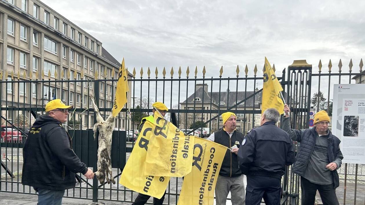 « Mes bêtes, c’est toute ma vie » : à Saint-Lô, le désarroi d’éleveurs face à la crise de la dermatose nodulai