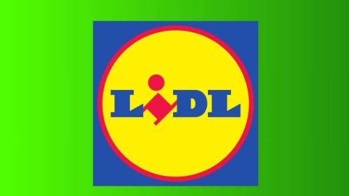 Avec 30L de volume, ce pot de fleurs Lidl à moins de 6 euros fait la joie des jardiniers
